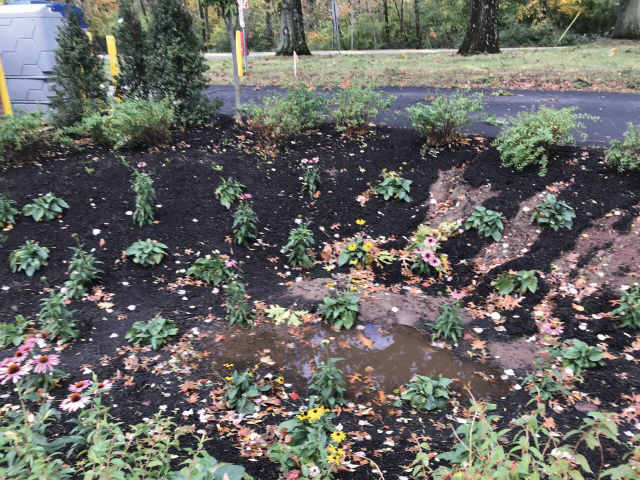 rain garden at the Princeton First Aid and Rescue Squad..jpg